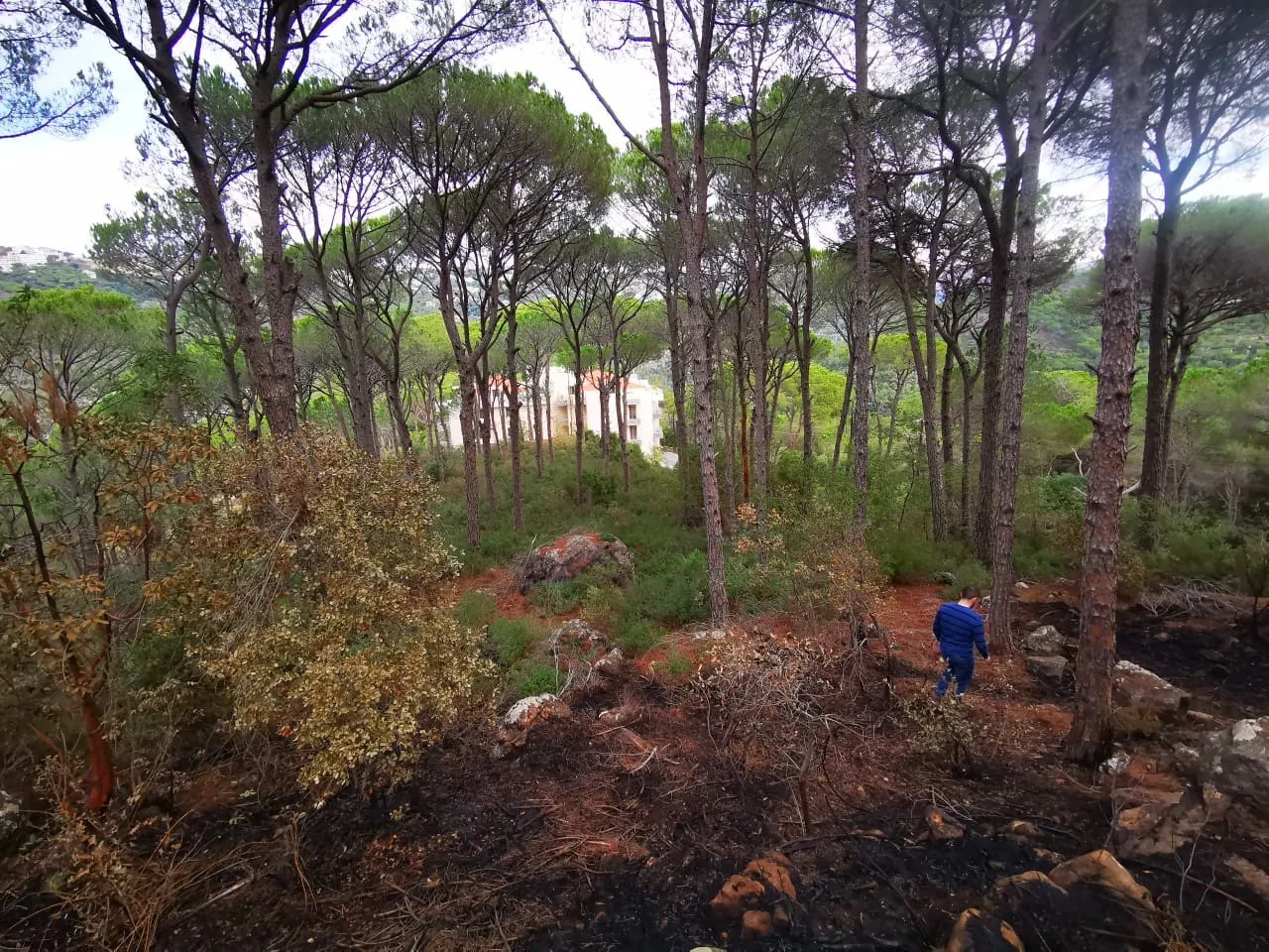 Prime Location Land in Zandouka, Metn — photo 3