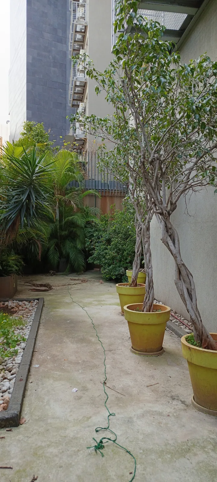 Apartment in Achrafieh, Beirut with Terrace & Backyard — الصورة 3