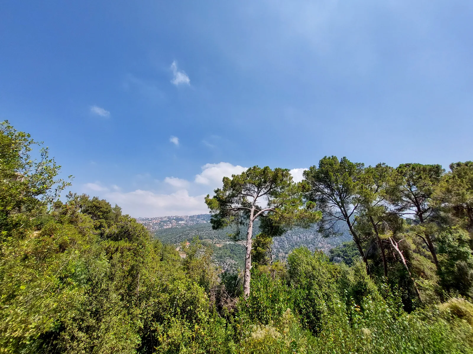 Below Market Price Land in Qornet El Hamra, Metn with View
