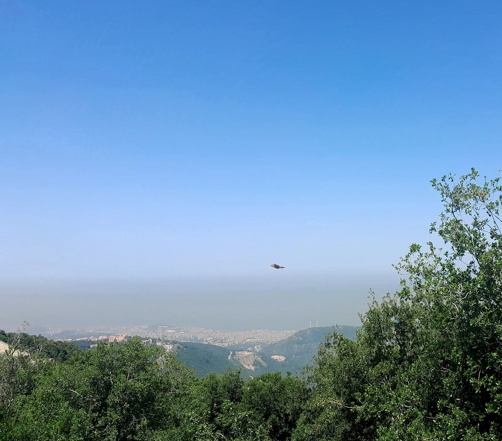 Land in Ajaltoun, Keserwan overlooking the Sea and the Mountains