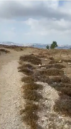 Land in Bhamdoun, Aley Overlooking the Mountains