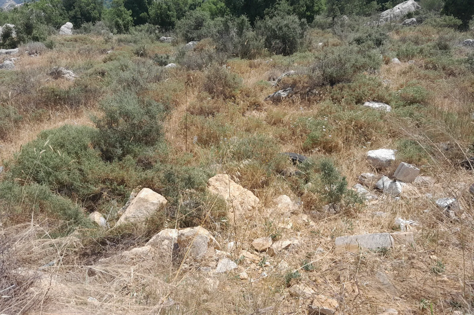 Land in Chouaiyya, Metn Overlooking the Mountains