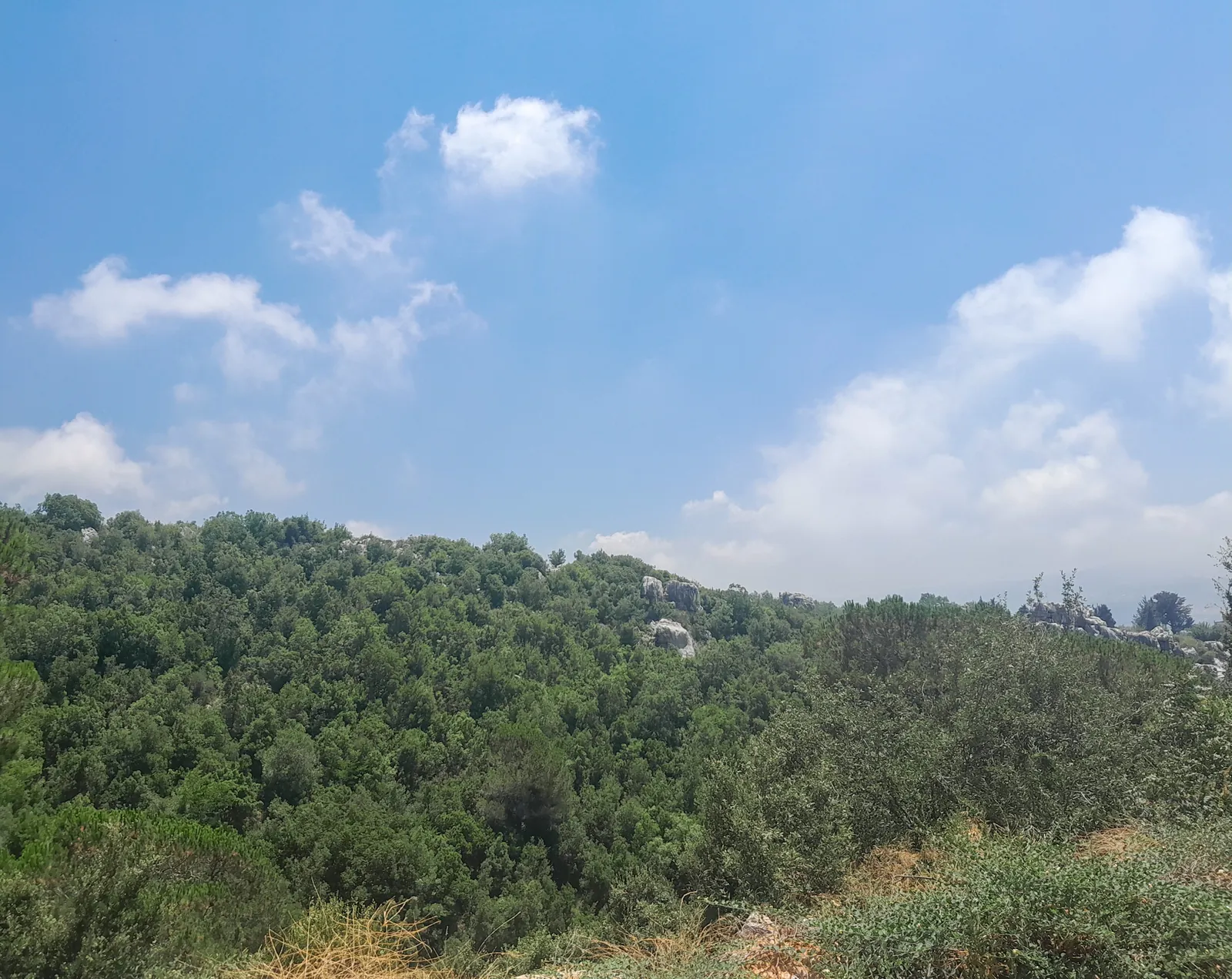 Land in Ajaltoun, Keserwan Overlooking the Mountains