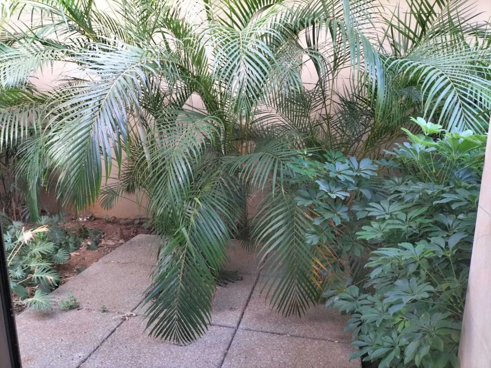 Apartment in Louaizeh, Baabda with Mountain View — photo 5