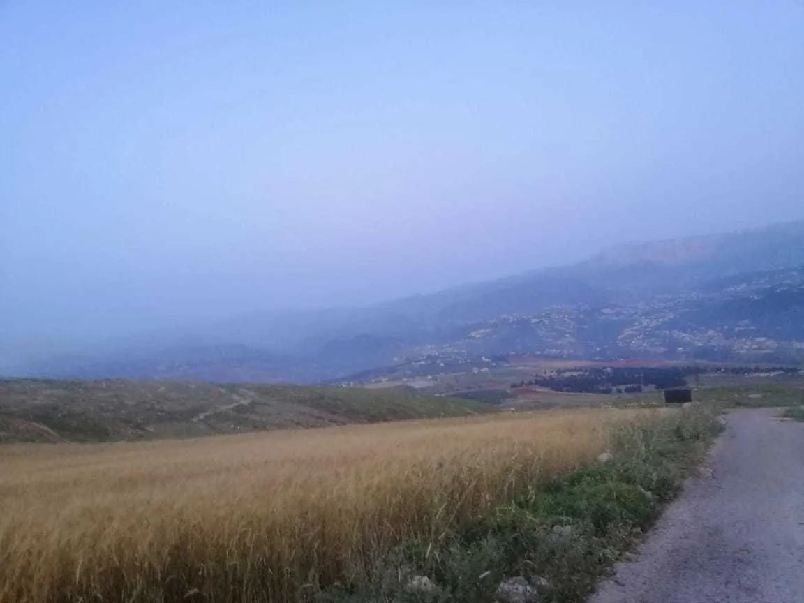 Land in Terbol, North Overlooking the Mountains — الصورة 3