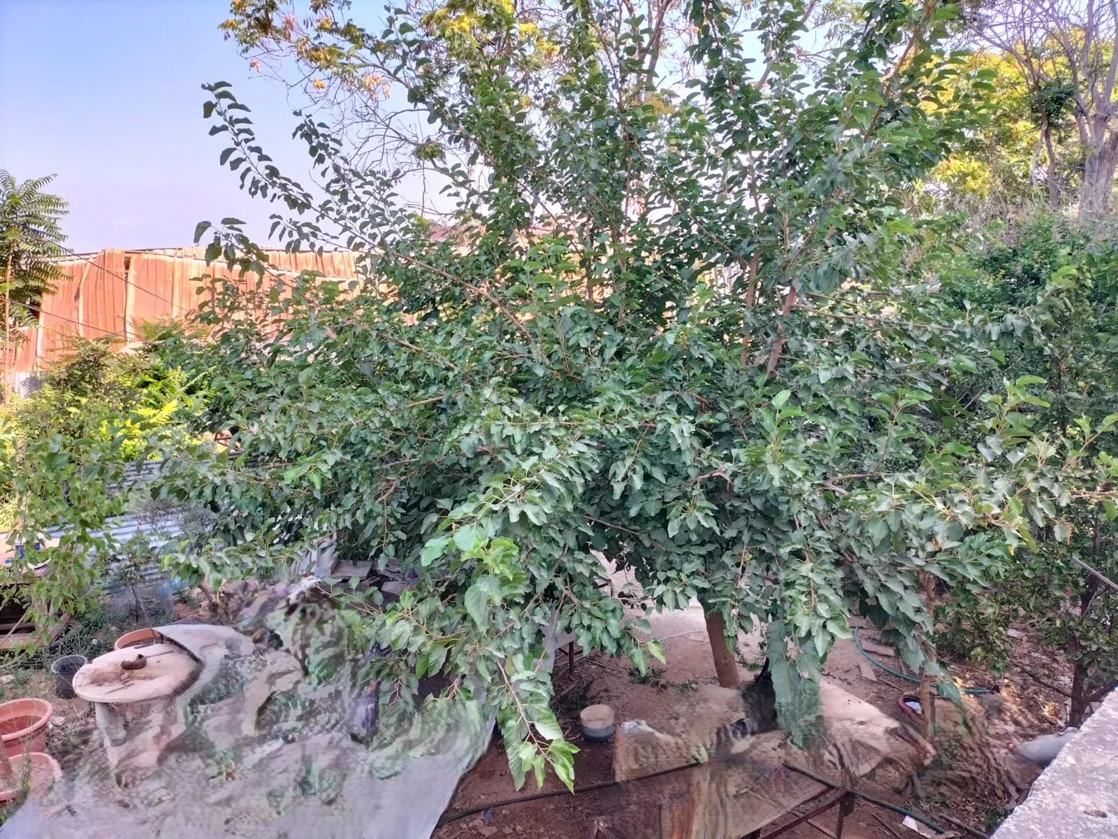 Land for Sale in Choueifat, Aley — photo 2