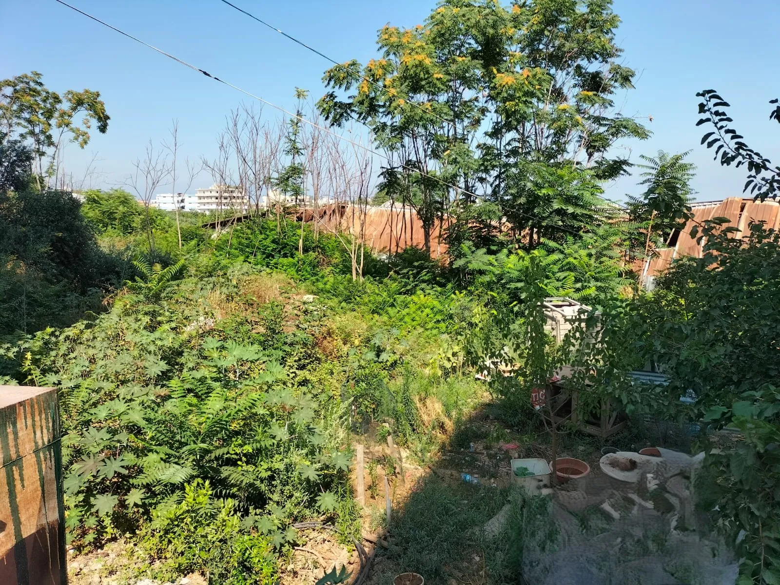 Land for Sale in Choueifat, Aley — photo 3