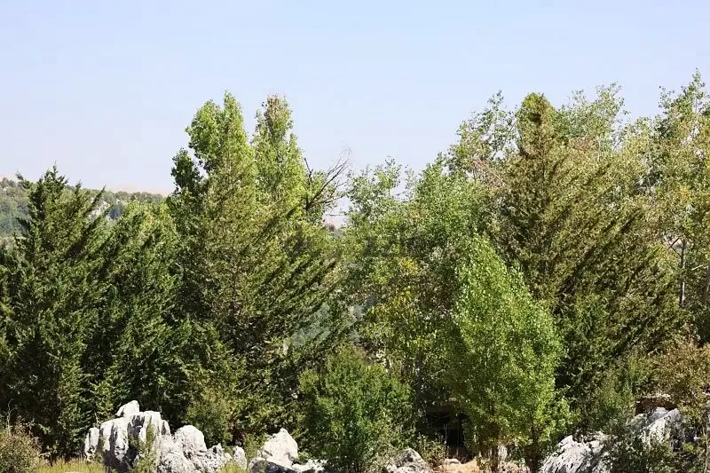 Land in Faitroun, Keserwan withPanoramic Mountain View — الصورة 2