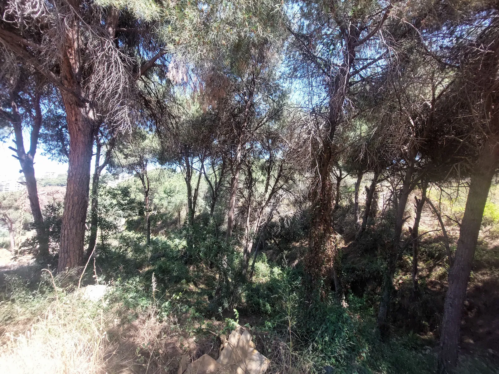 Land in Mtayleb, Metn with Mountain View