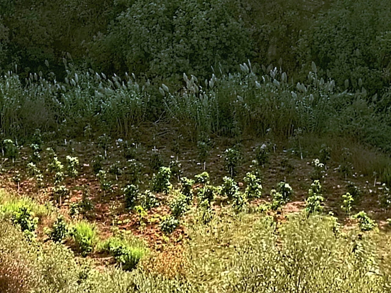 Land in Kfarshima, Baabda Overlooking the Mountains