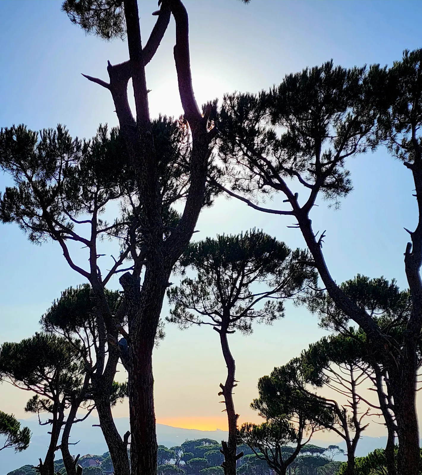 Land in Bifaya (Aayroun), Metn overlooking the Mountains & the Ocean
