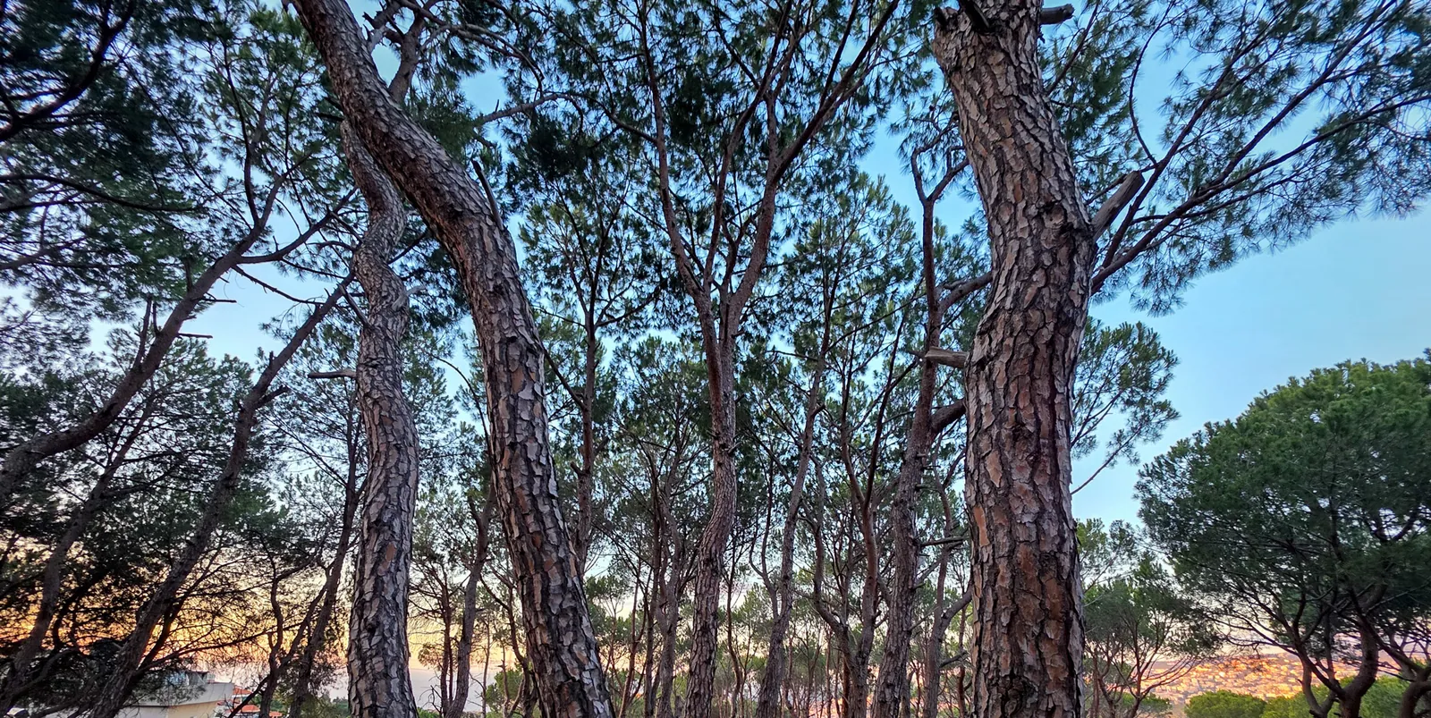 Good Location Land in Beit Chabeb, Metn with Breathtaking Views — photo 2
