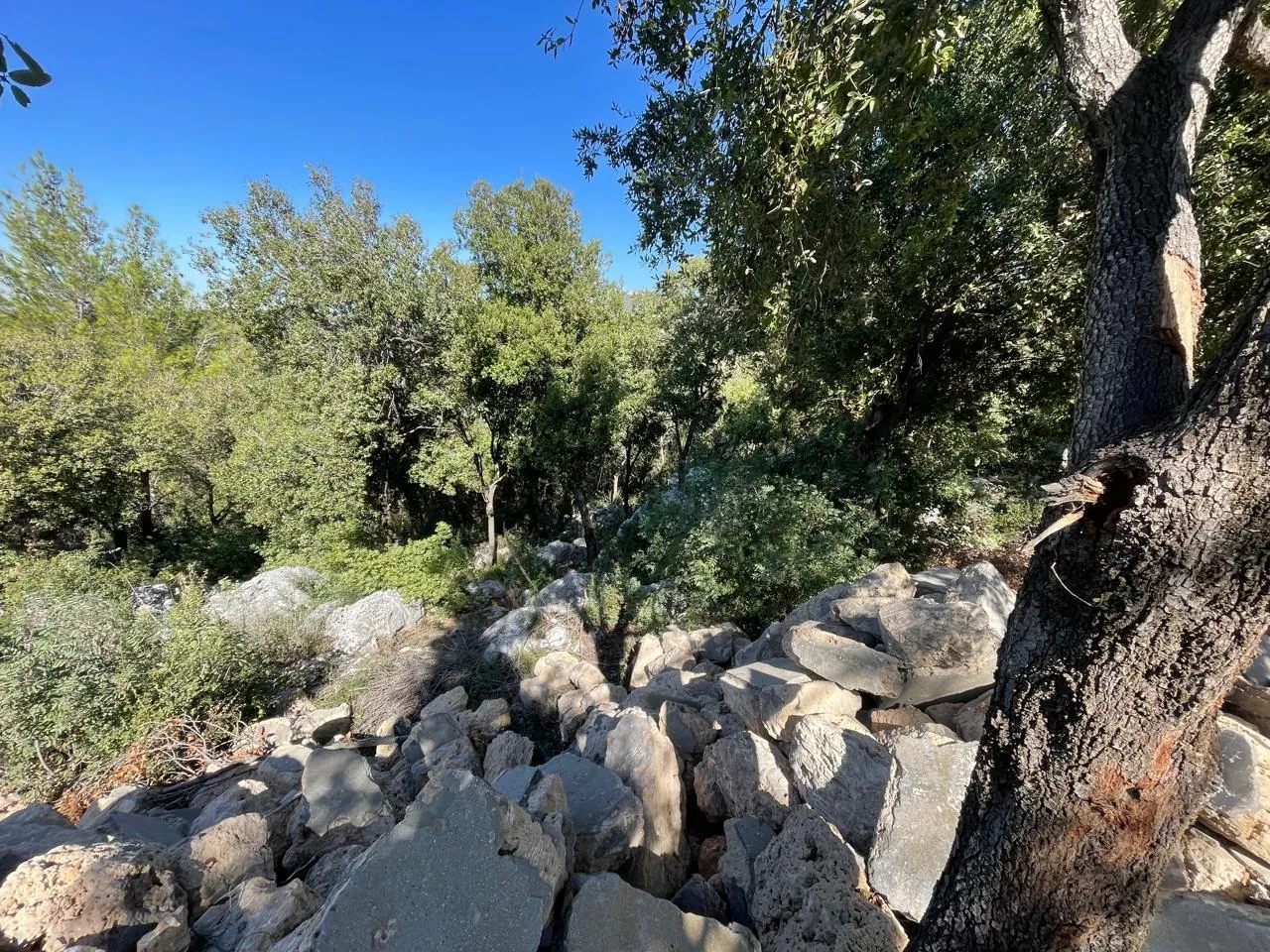 1125 SQM Land in Ghazir, Keserwan with a Breathtaking View