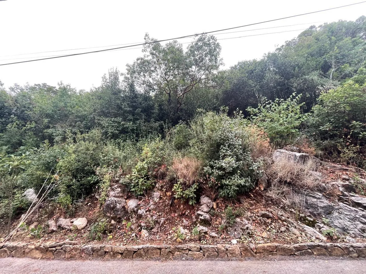 910 SQM Land in Chnaniir with a Breathtaking View