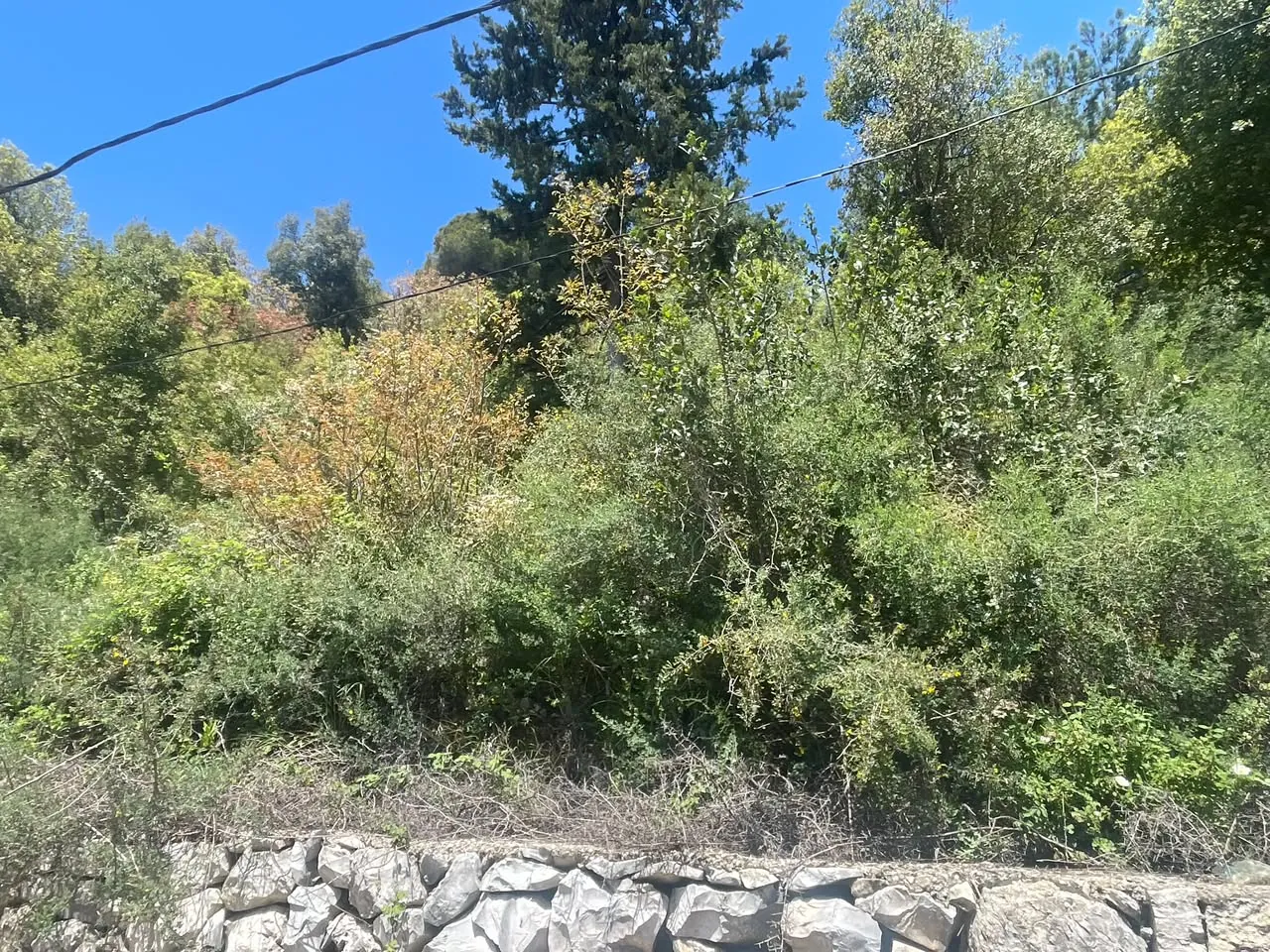 Land for Sale in Ghbeleh with an Amazing Mountain View — الصورة 2