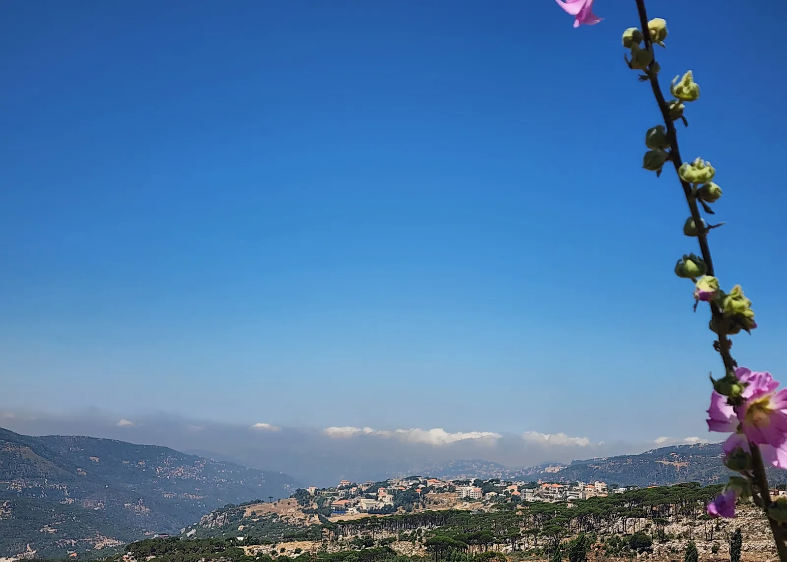 Land in Mtein ,Metn Overlooking the Mountains and the Ocean