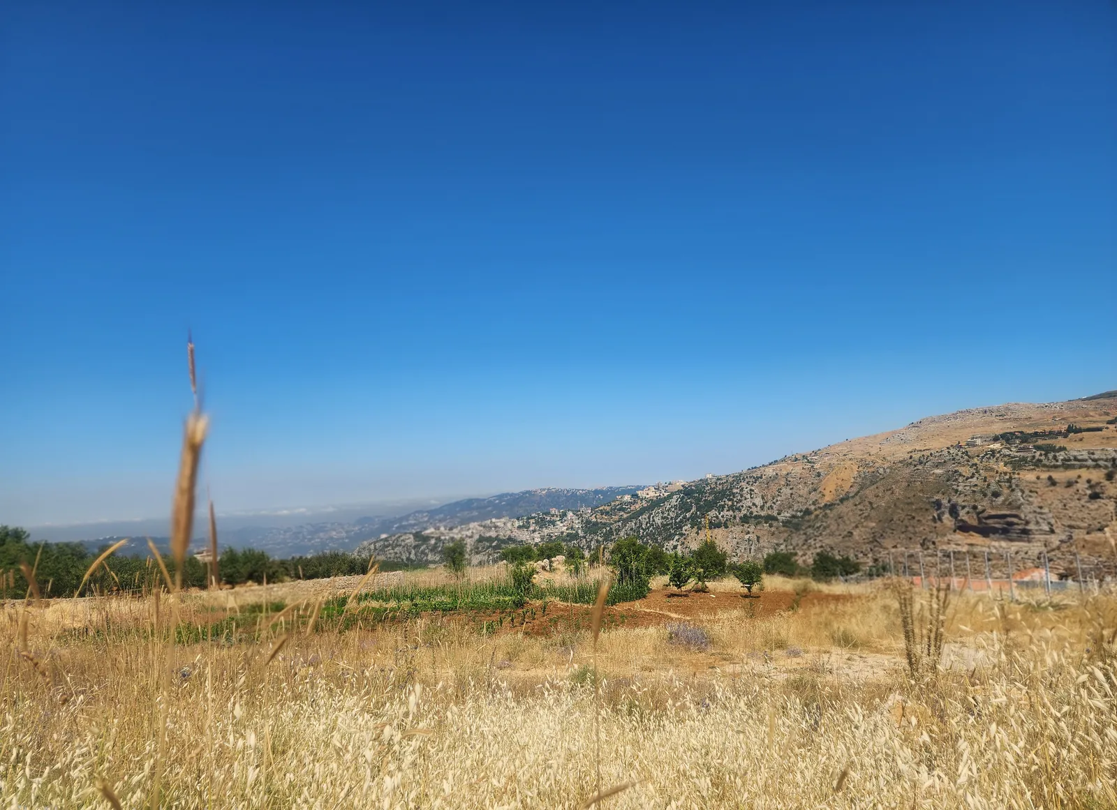 Land in Tarchich, Metn with Breathtaking Mountain and Sea View