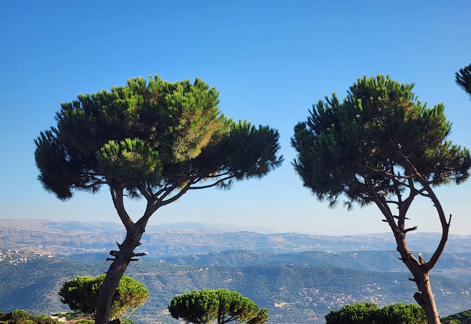 Prime Location Land in Dhour Choueir, Metn Overlooking the Mountains