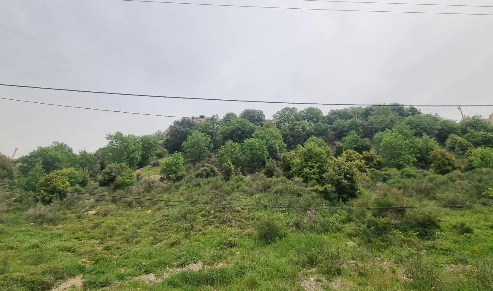 Land for Sale in Zeghrine