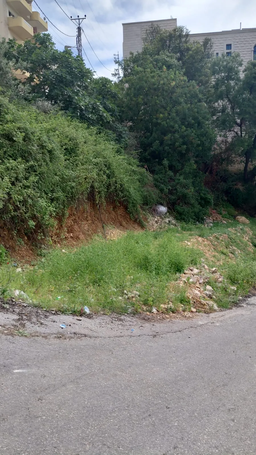 Land for Sale In Amchit