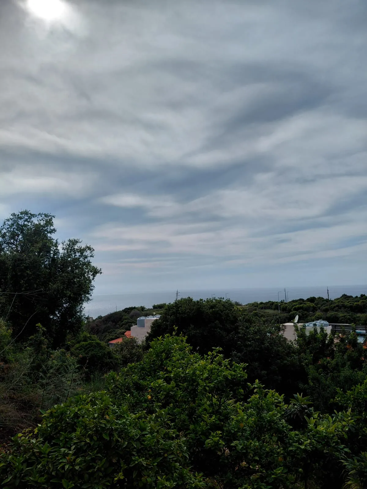Land for Sale In Amchit
