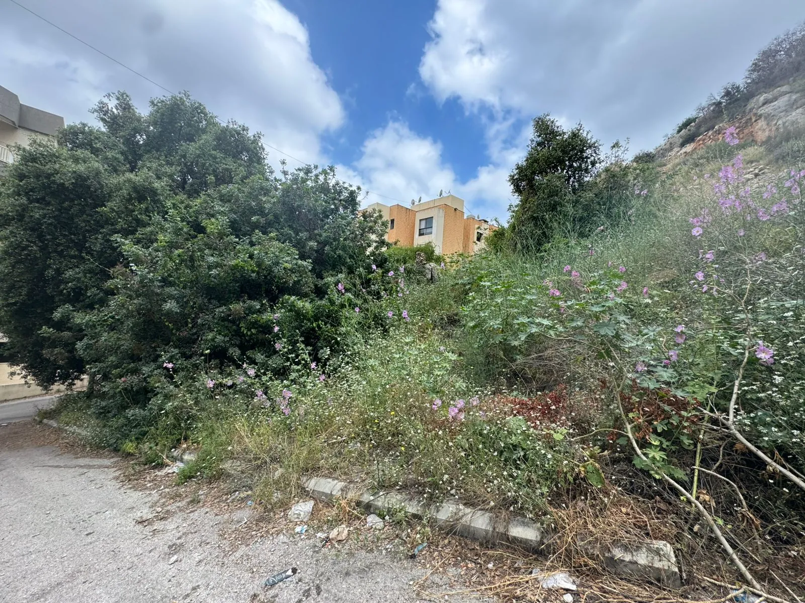 Land for Sale in Antelias
