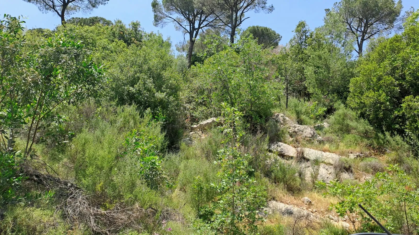 Land for Sale in Salima