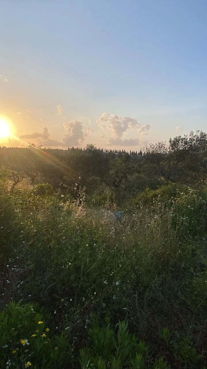 Land for Sale in Hamat