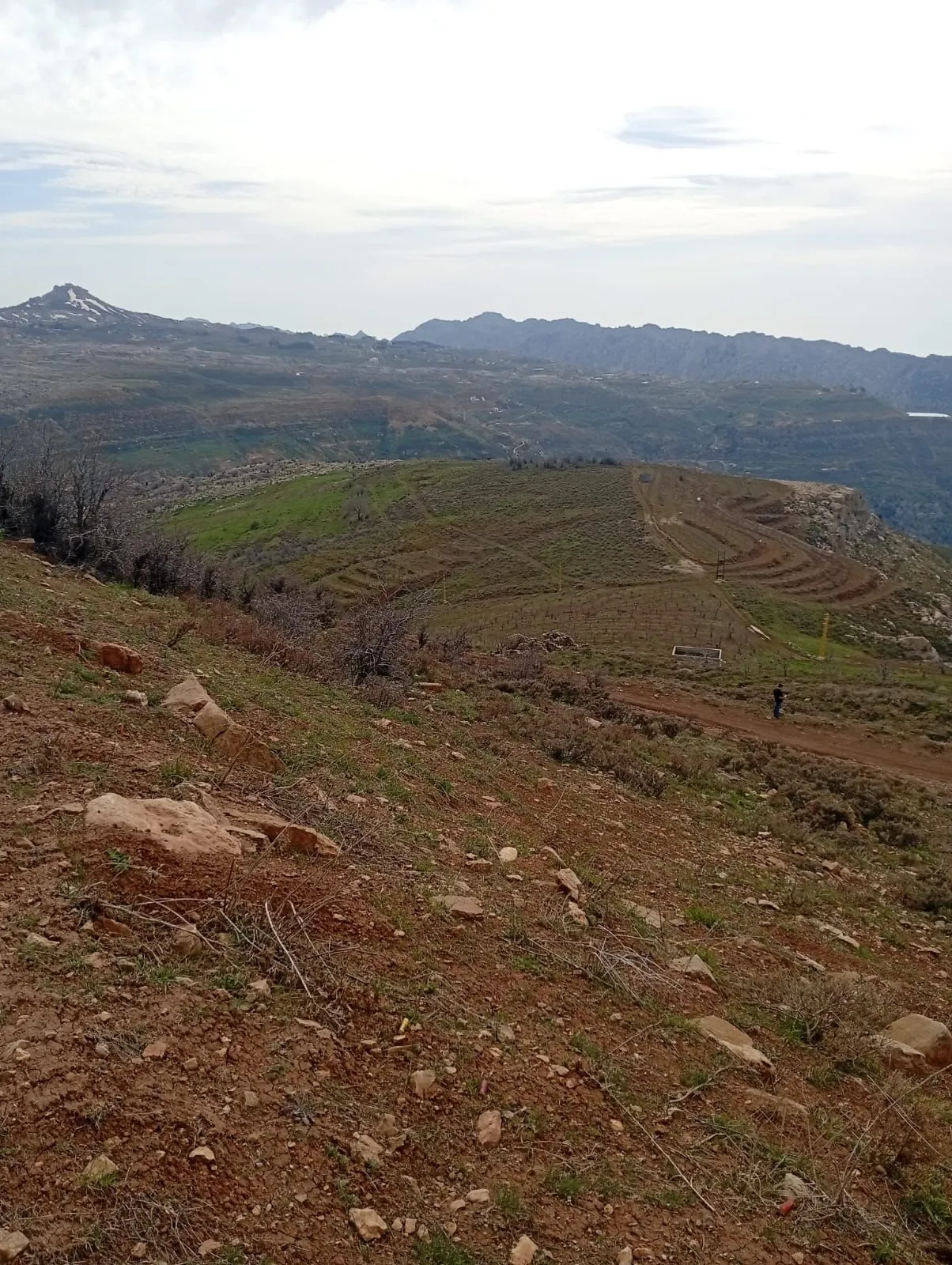 Land for Sale In Tannourine