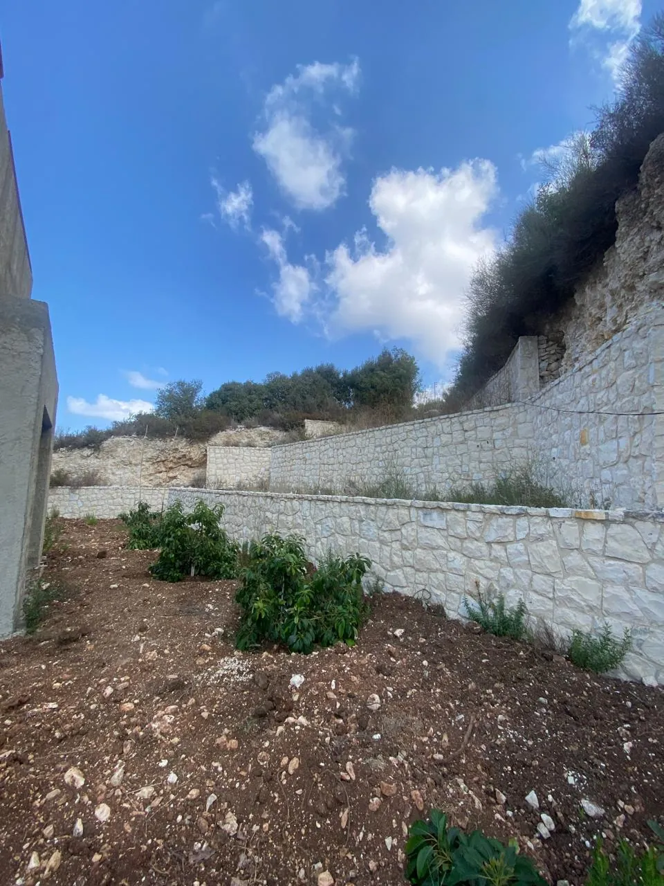 Villa for Sale In Berbara — photo 2