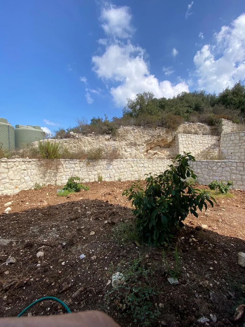 Villa for Sale In Berbara — photo 4