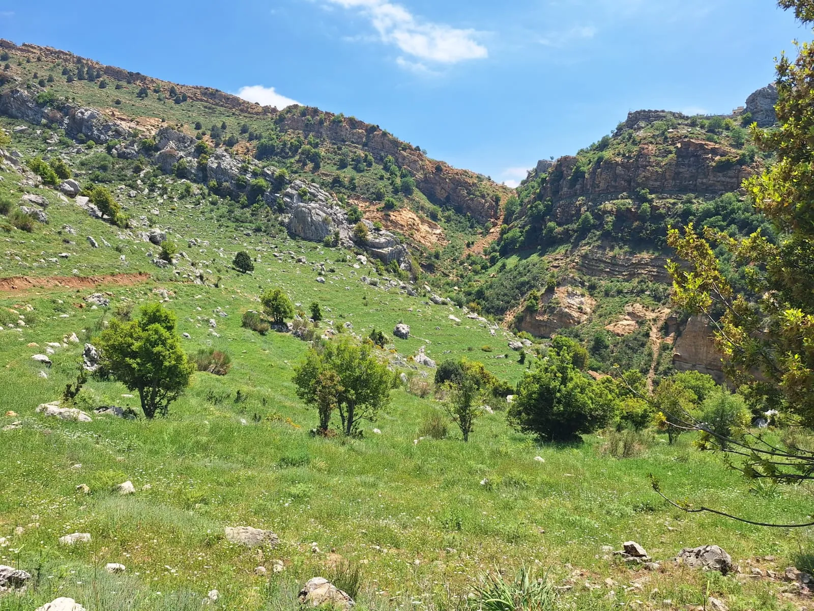 Land for Sale in Qartaba