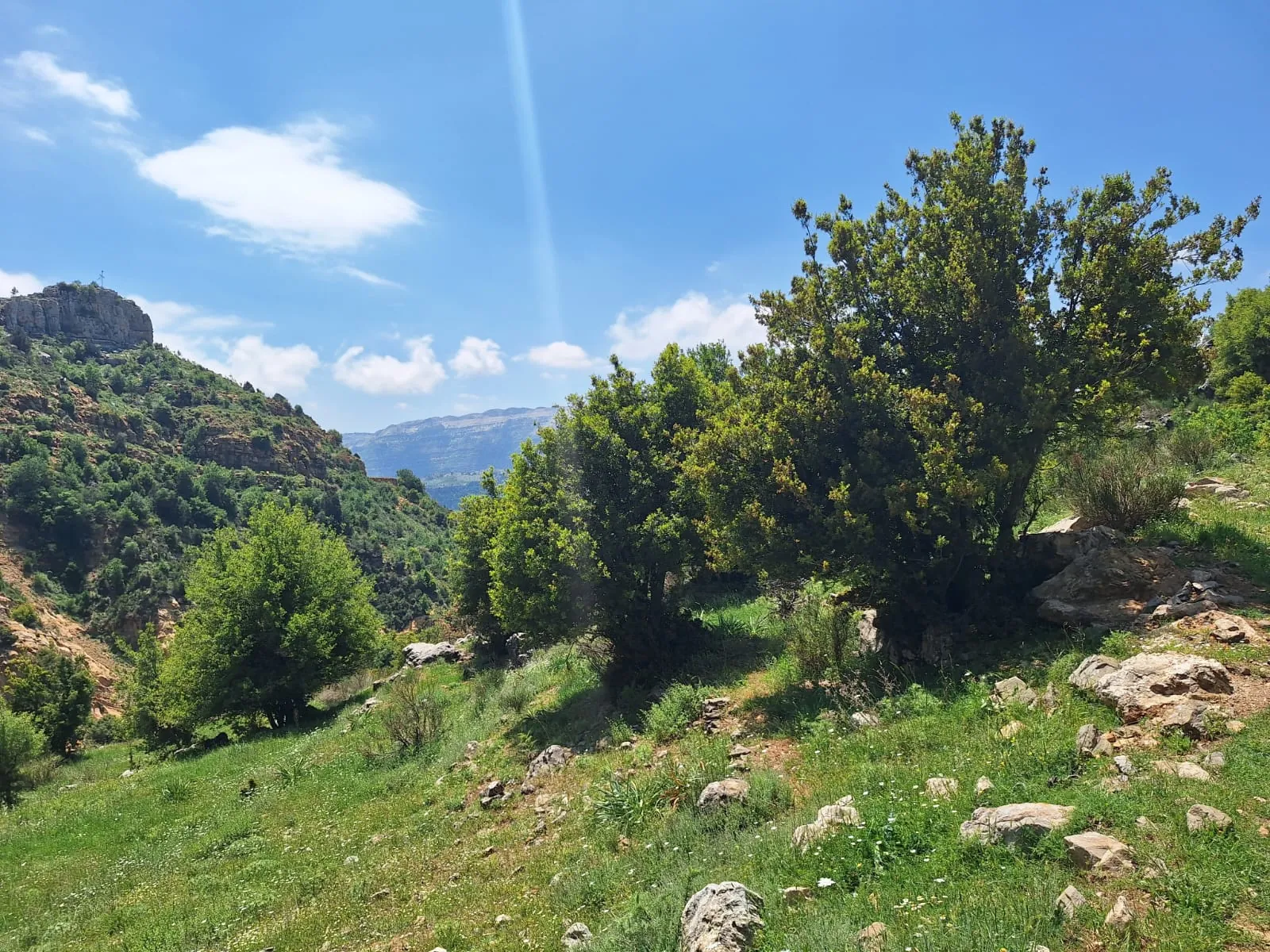Land for Sale in Qartaba — photo 3