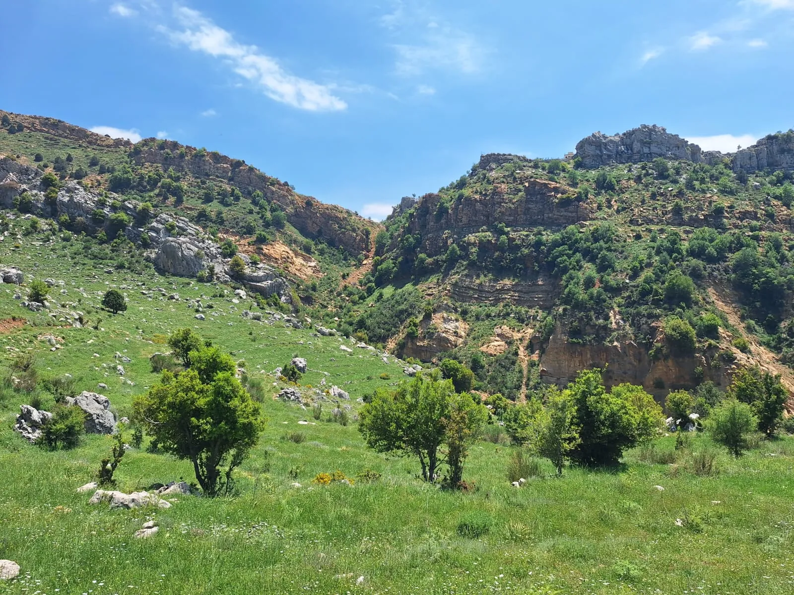 Land for Sale in Qartaba — photo 4