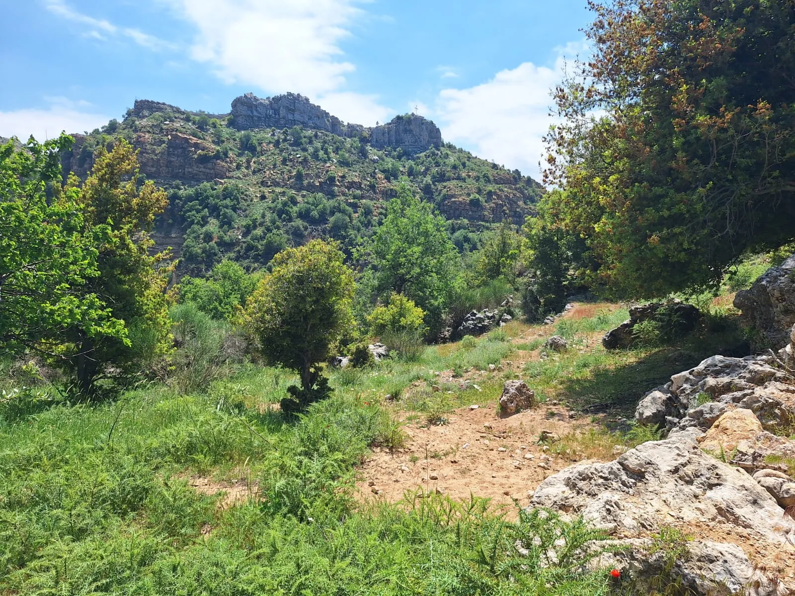 Land for Sale in Qartaba — photo 5