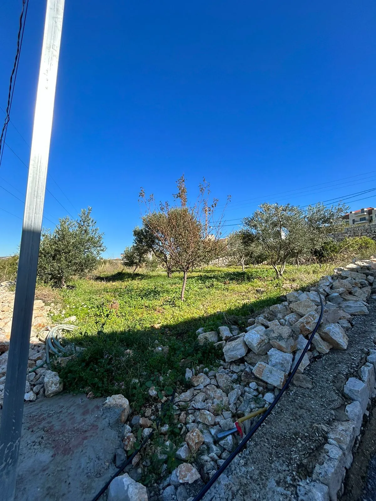Land for Sale In Bentael — الصورة 2
