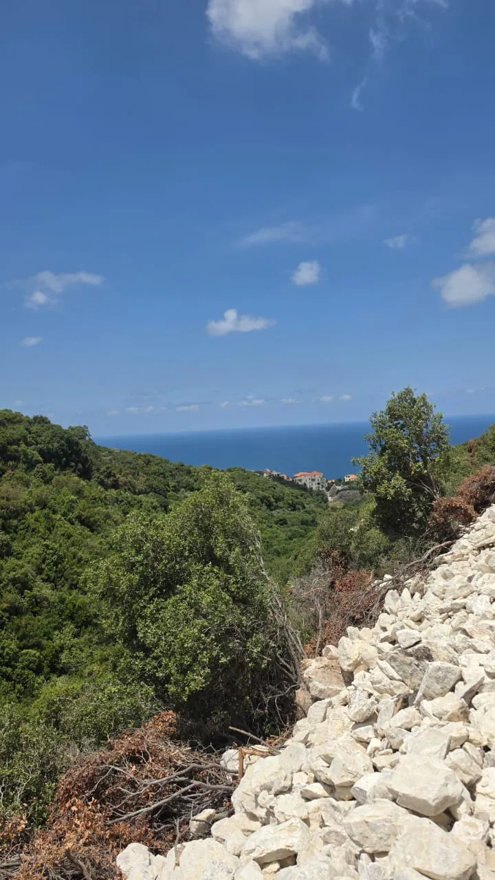 Land for Sale In Kfaraabida