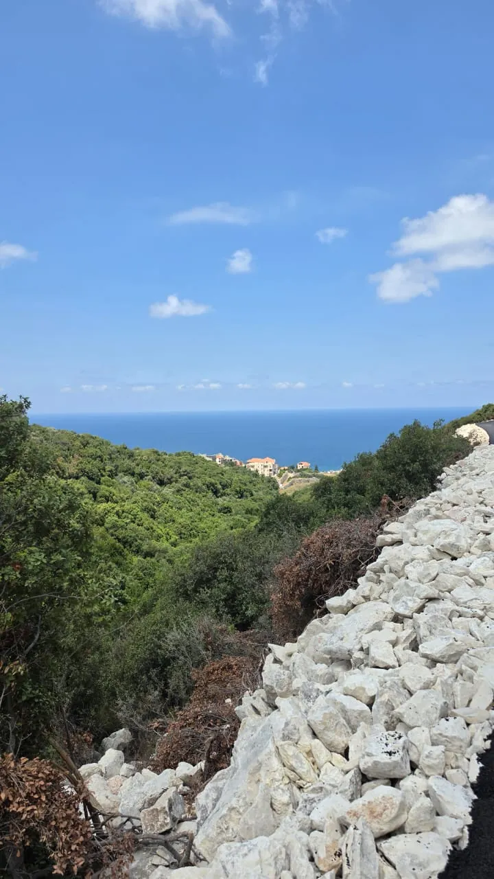 Land for Sale In Kfaraabida — photo 3