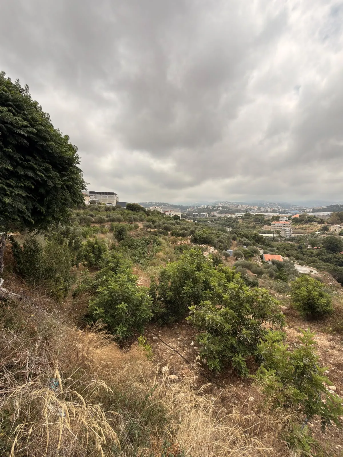 Land for Sale In Hosrayel