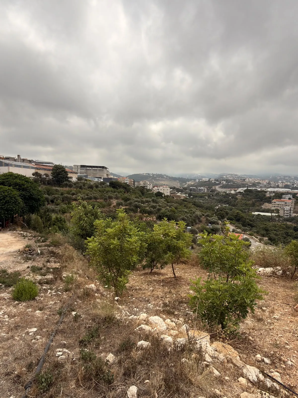 Land for Sale In Hosrayel — photo 2