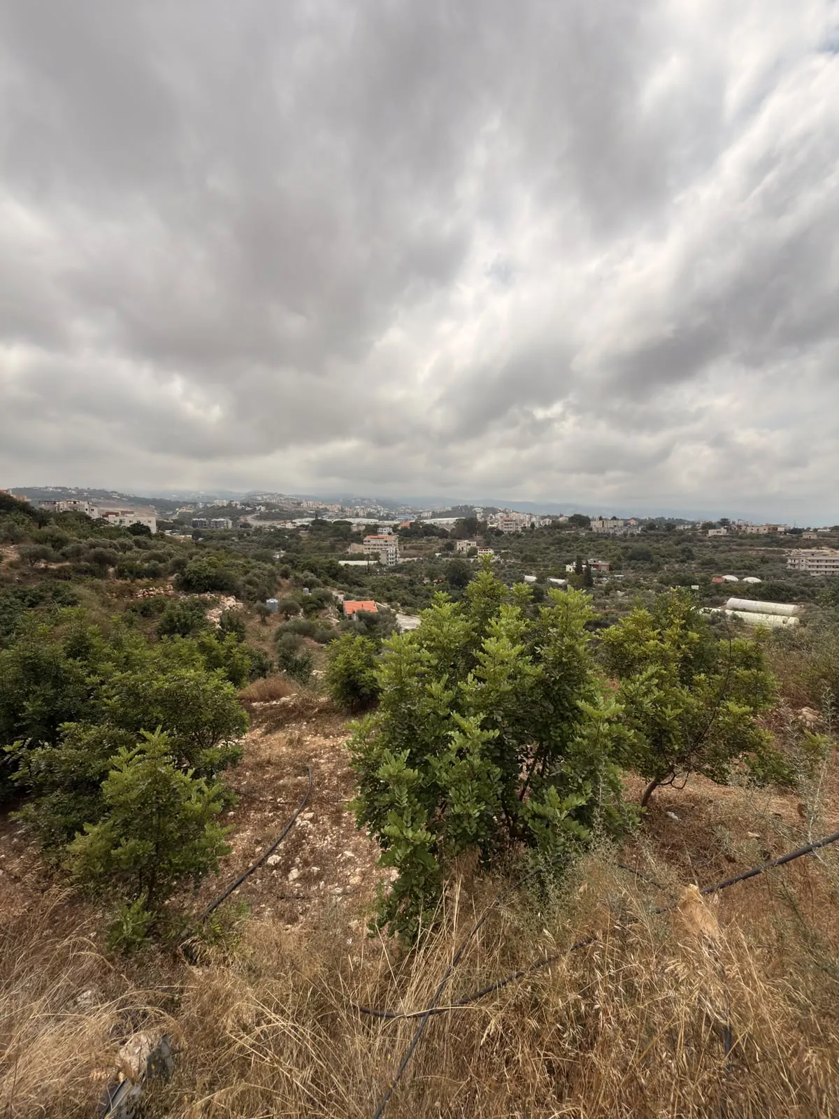 Land for Sale In Hosrayel — photo 4