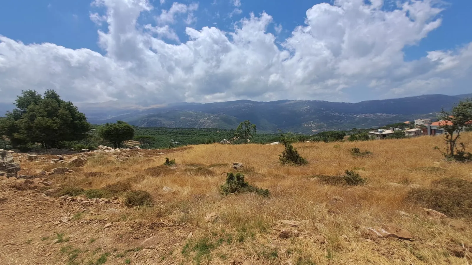 Land for Sale in Mtein — photo 2