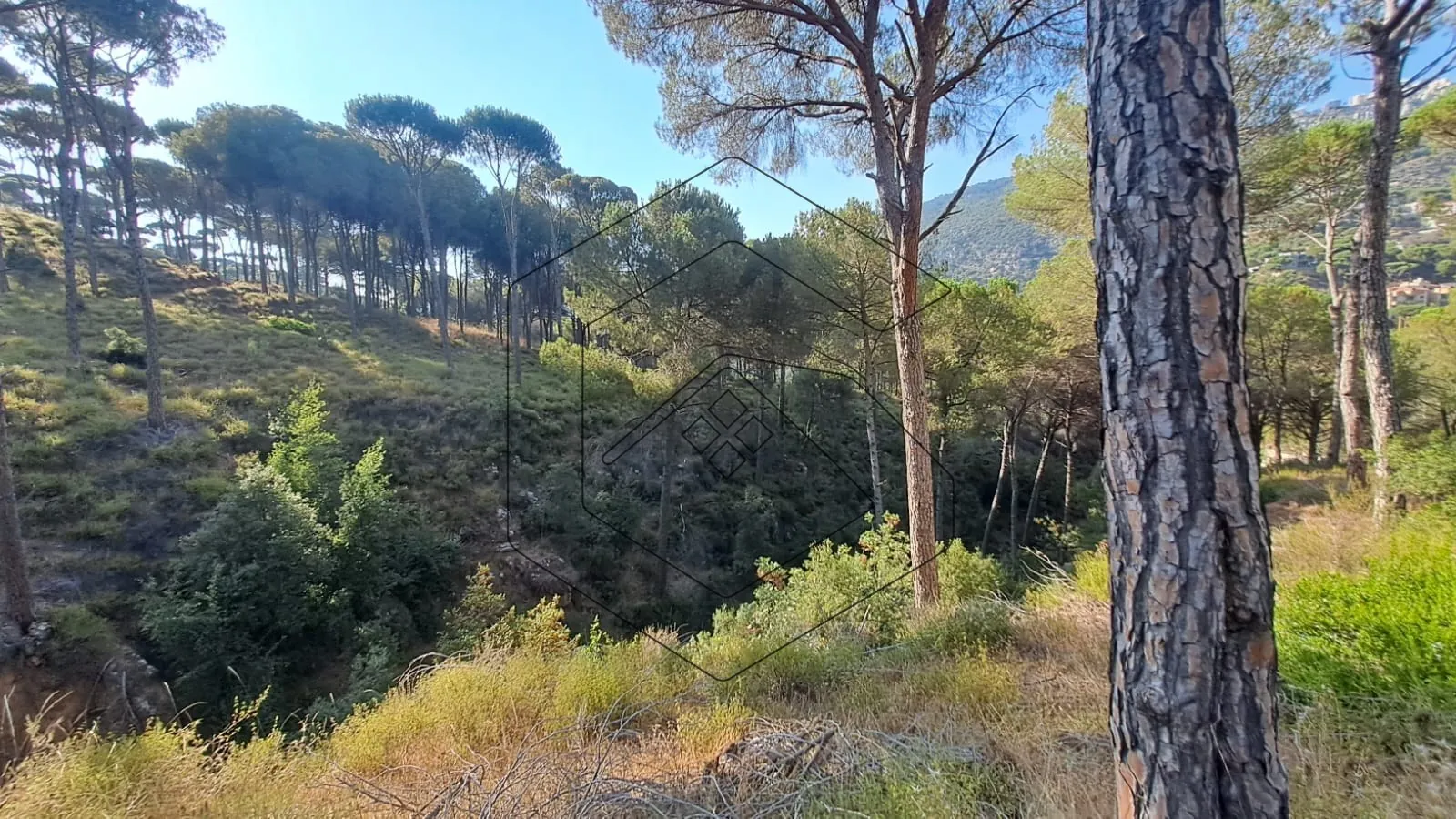 Land for Sale in Baabdat Dlaybe