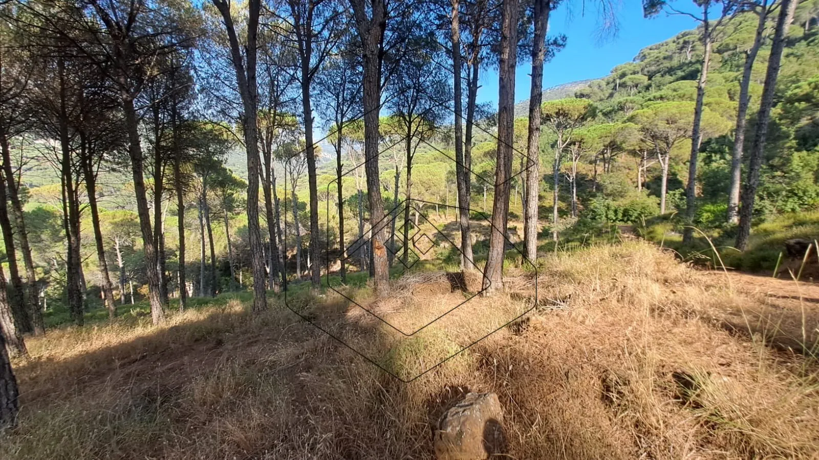 Land for Sale in Baabdat Dlaybe — الصورة 3