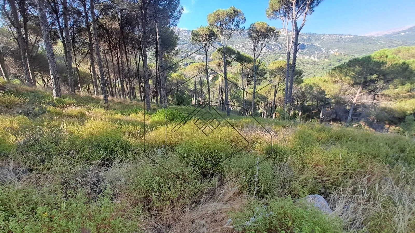 Land for Sale in Baabdat Dlaybe — الصورة 4