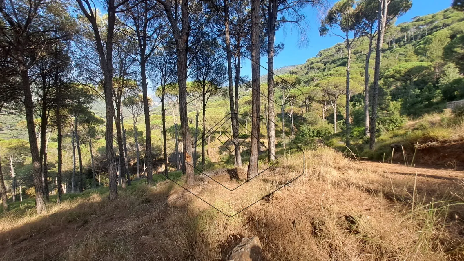 Land for Sale in Baabdat Dlaybe — الصورة 5