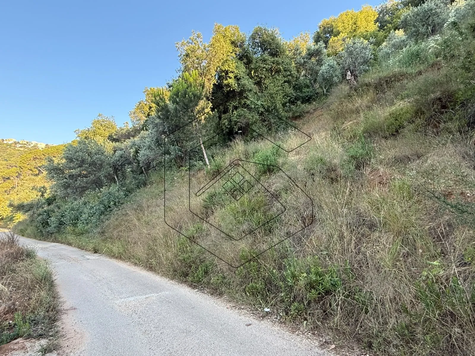 Land for Sale in Dmit - Chouf