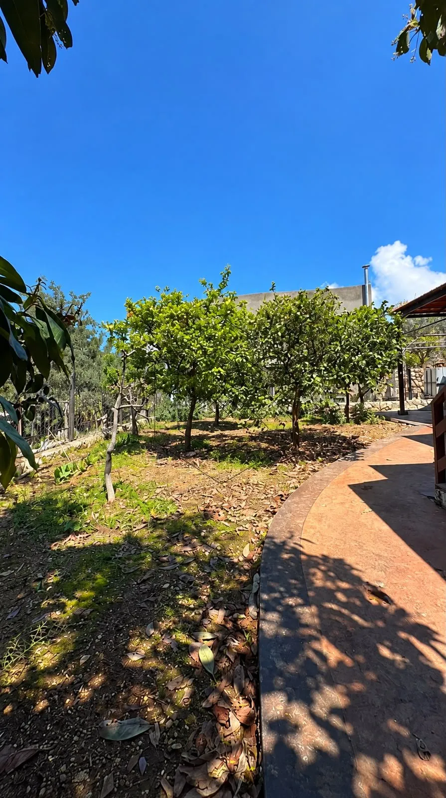 Standalone for Sale in Chikhane Jbeil — photo 5