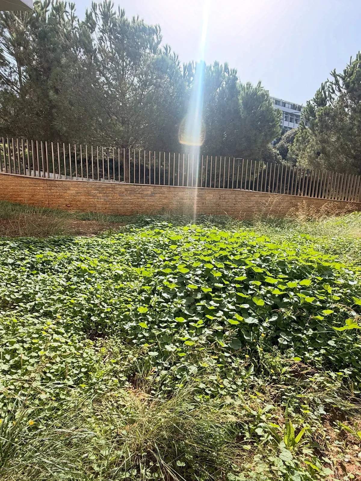 Garden Apartment for Sale in Ain Aar - Hbous — photo 2