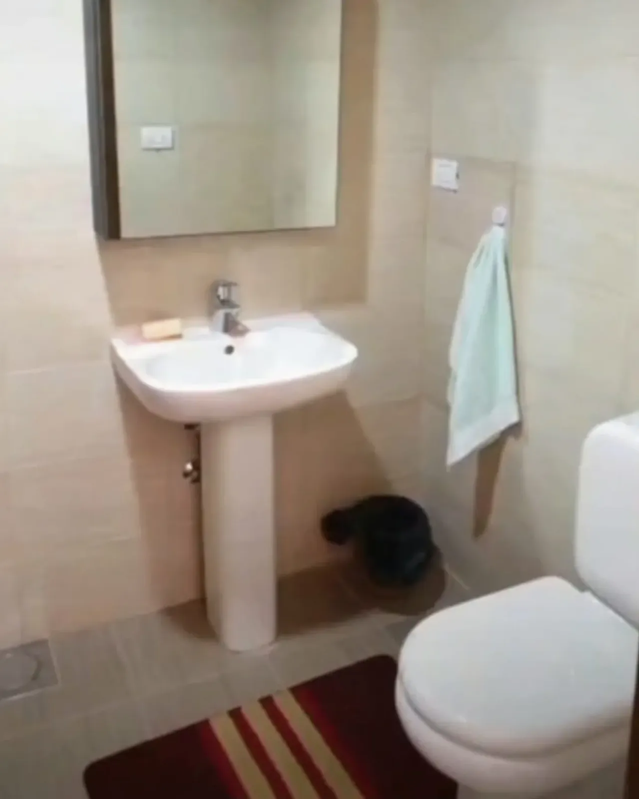 Chalet for Rent in Zaarour — photo 4
